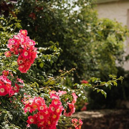 Stoodleigh Court Coach House Bed & Breakfast Тивъртън Екстериор снимка